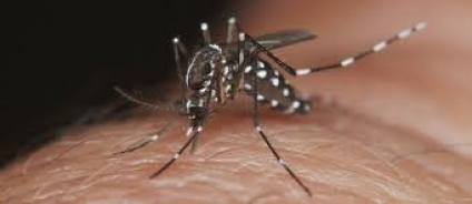 Aumentan los casos de dengue en Villa Mercedes: el doble en los últimos diez días