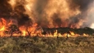 Incendios forestales: Brigadistas luchan contra el fuego en el Departamento San Martín