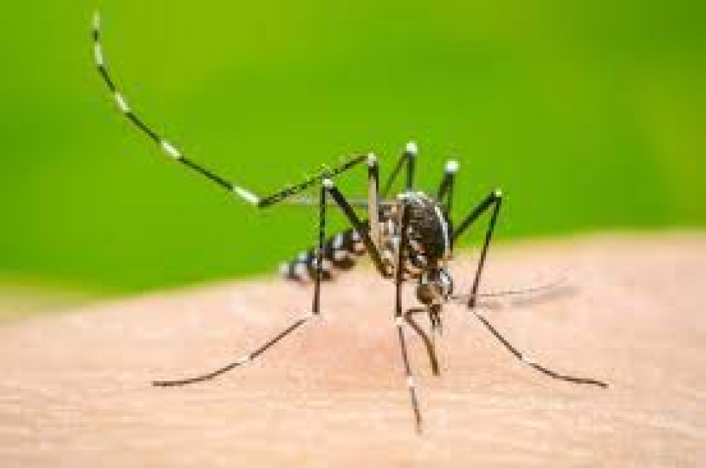 Trágico fallecimiento de una joven mercedina a causa del dengue