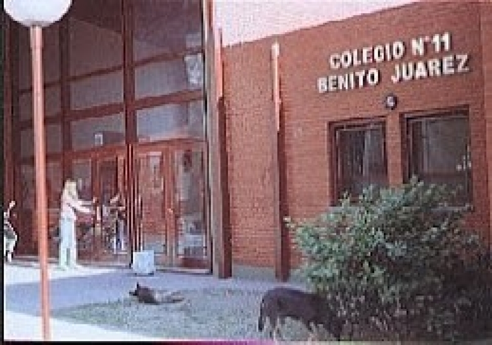 “Cultivos en el Colegio”, nuevo proyecto socioeducativo de la escuela Benito Juárez