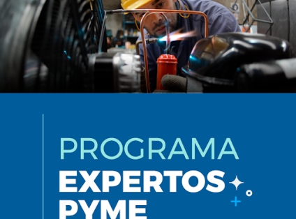 Acceder al programa Expertos PyME