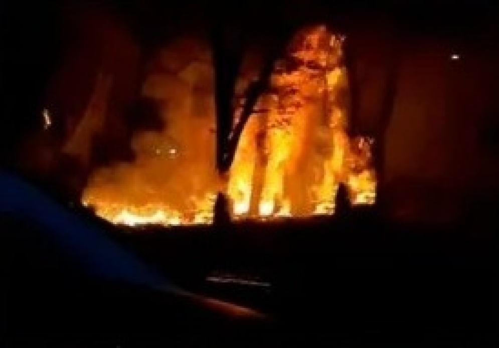 Tragedia en San Luis: Cuatro muertos tras un brutal choque y incendio en ruta 9